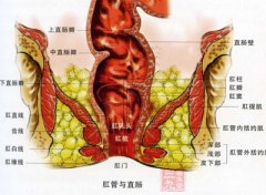 导致直肠炎发生的原因有什么 ?