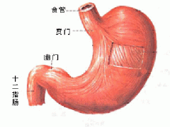 十二指肠溃疡严重吗?