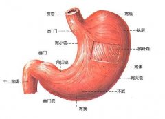 胃病的检查方法有哪些？
