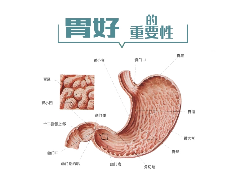 老年人慢性胃炎该如何治疗?