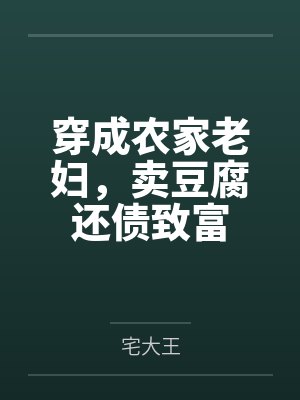 郑晴琅薛满仓穿成农家老妇,卖豆腐还债致富