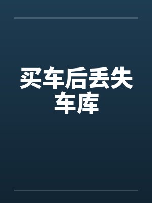 买车后丢失车库