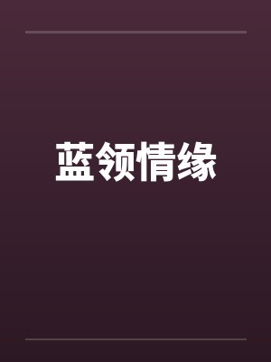 蓝领情缘
