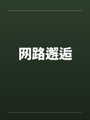 网路邂逅