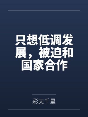 只想低调发展，被迫和国家合作by徐鸣