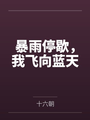 暴雨停歇，我飞向蓝天