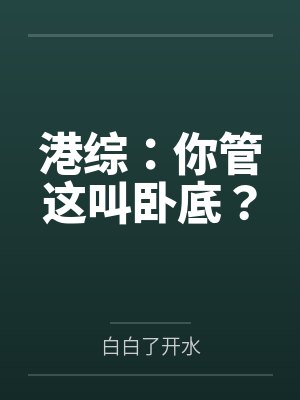 港综：你管这叫卧底？