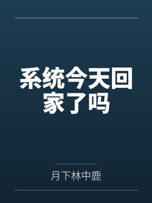 系统今天回家了吗